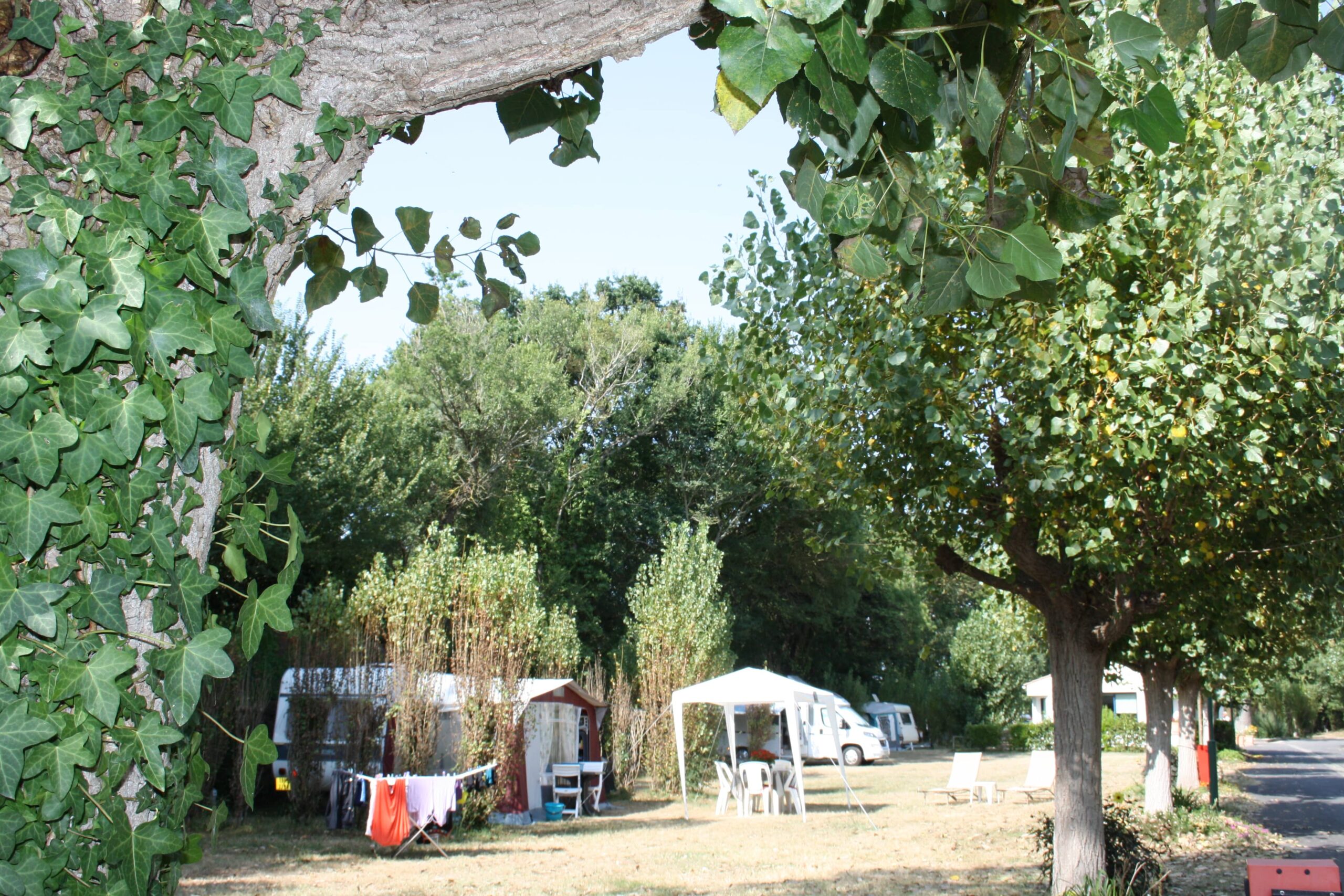 emplacement 1 - Camping municipal** le Moulin Neuf à Soullans (85)